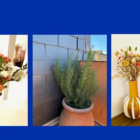 Apartment Le Rooftop Perpignan